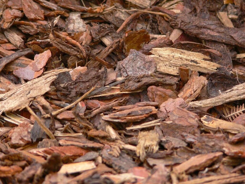 mulch 