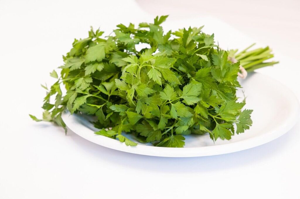 fresh parsley on a plate