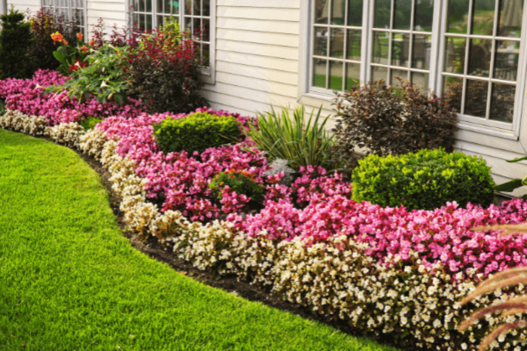 a beautiful and neat flower garden