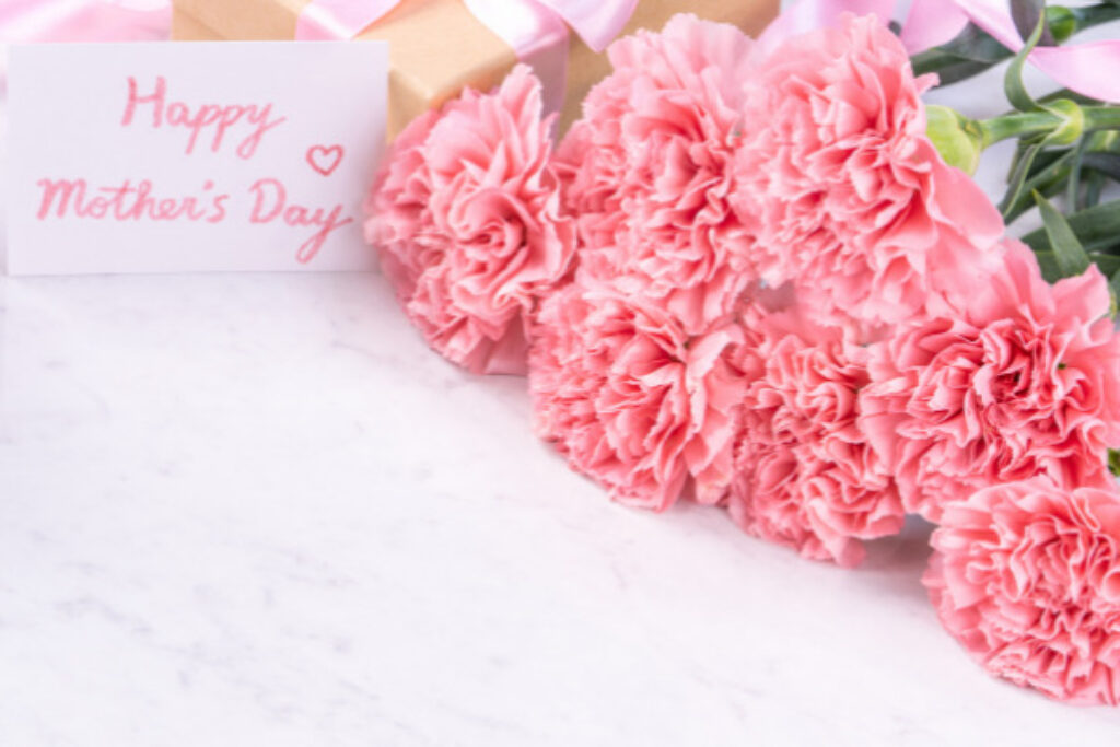 carnations as a Mother's Day flower