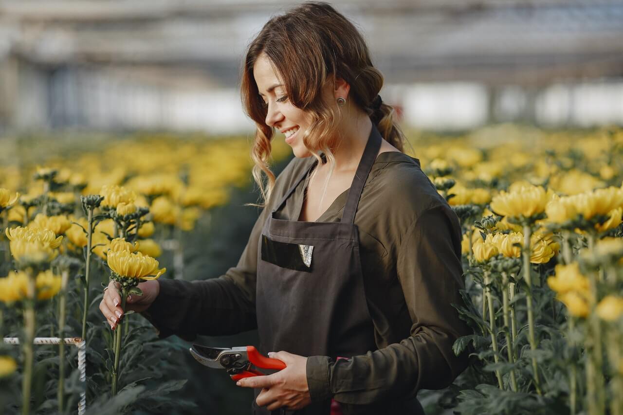 a young lady deadheading plants