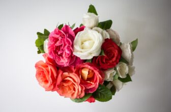 Types of Roses – A Comprehensive List!
