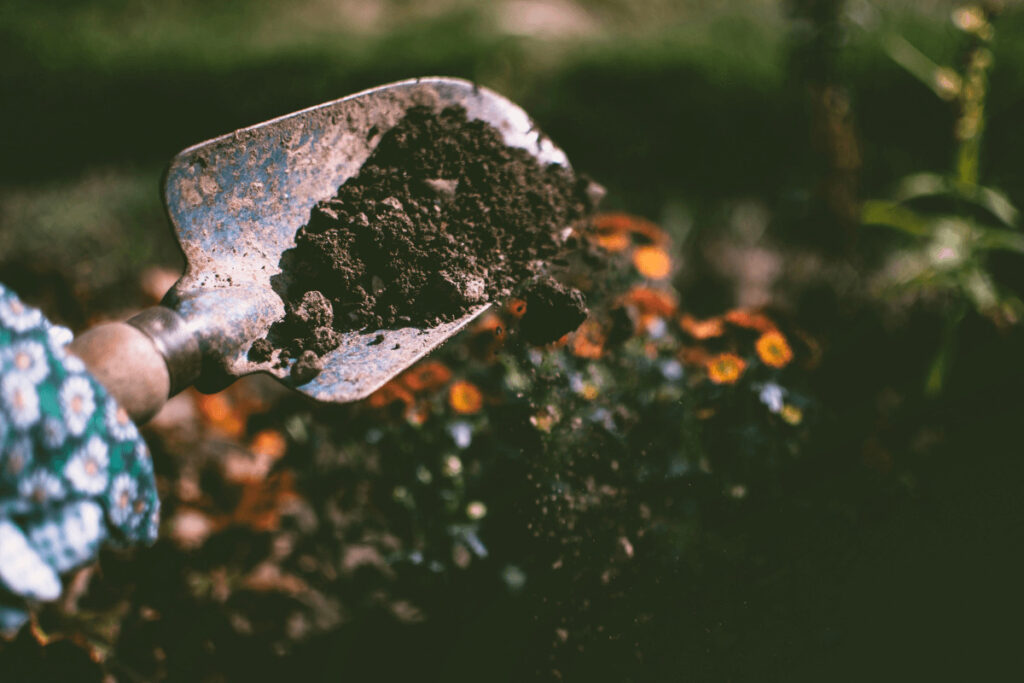 a trowel of soil