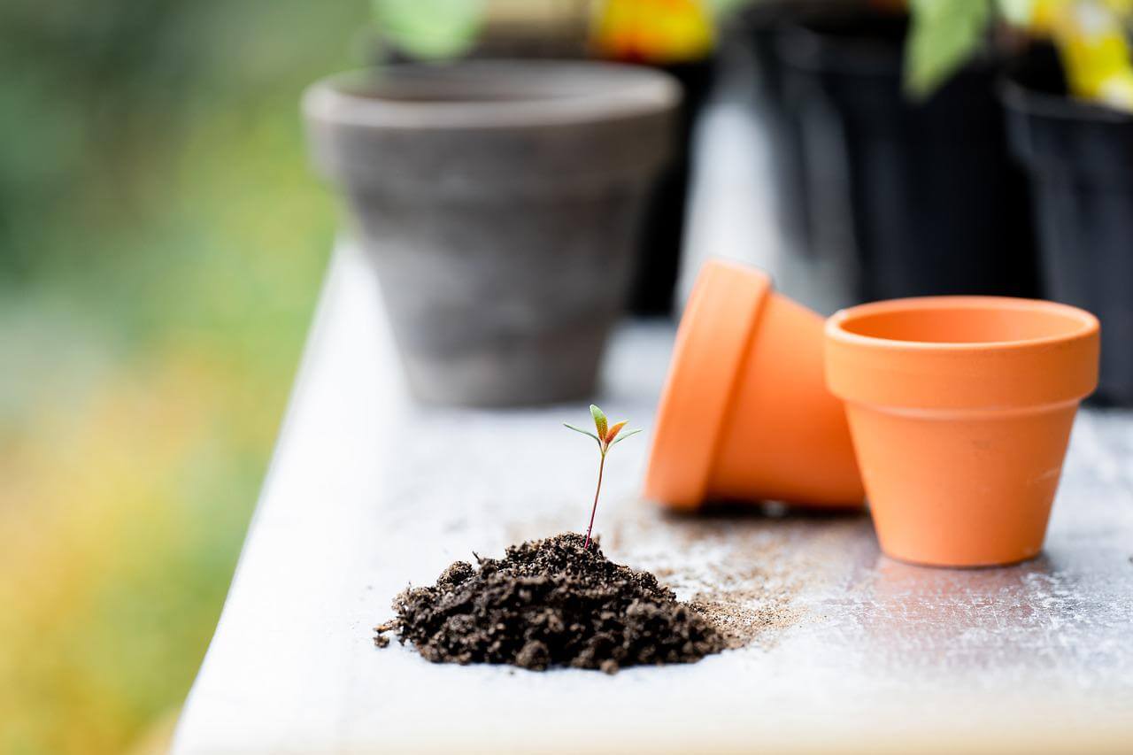 getting potting mix ready