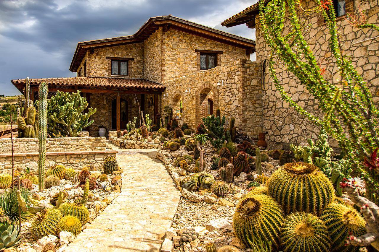 xeriscaping house cactus