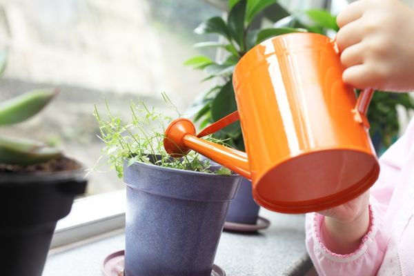 watering can