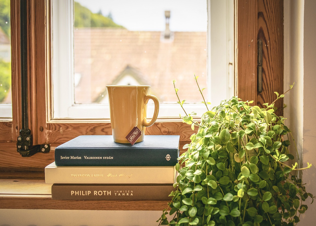 winter houseplants