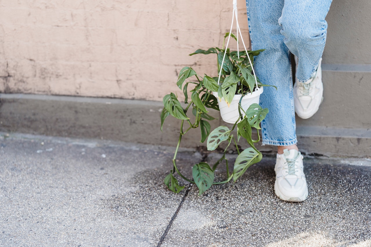 best hanging planters for pothos