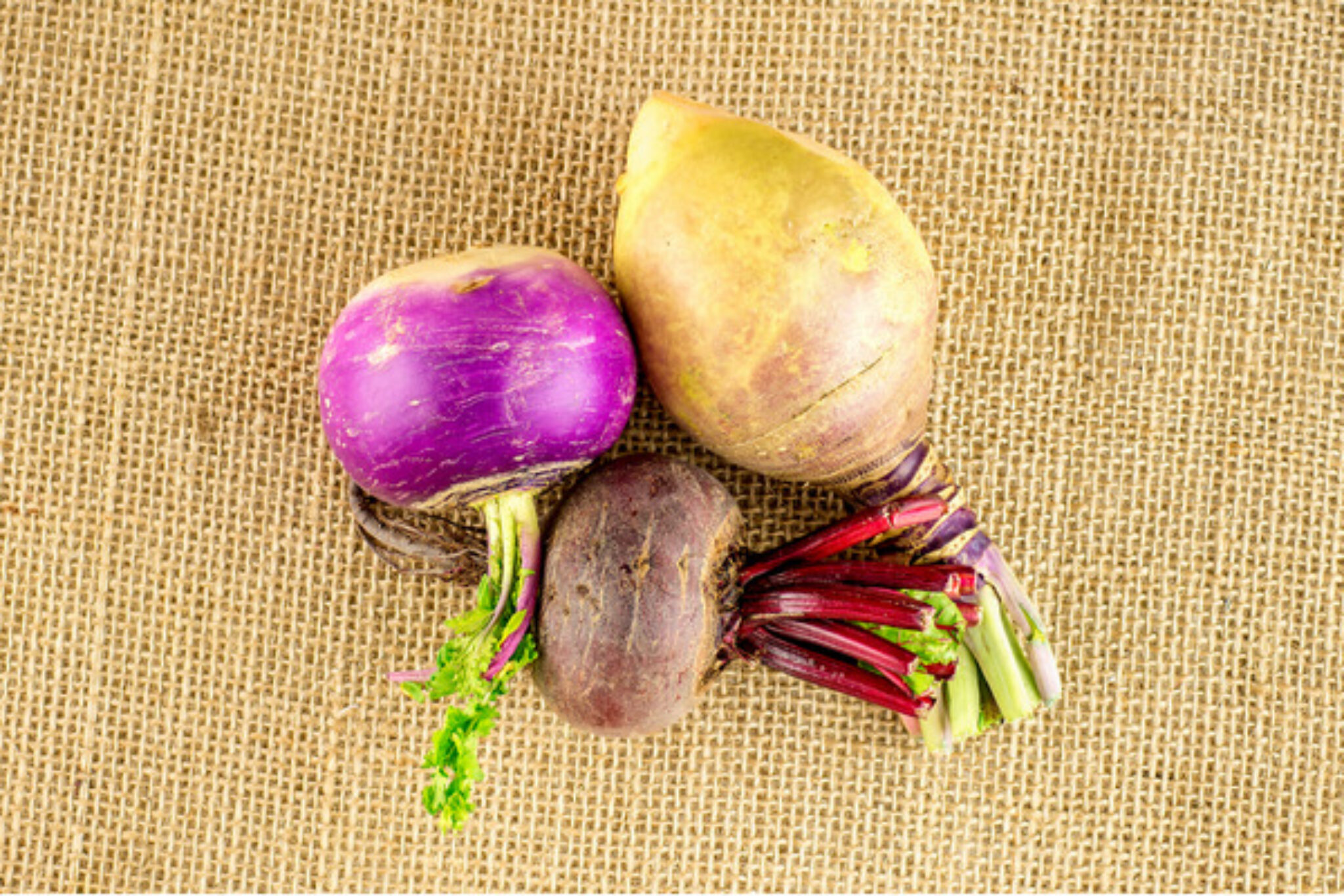 10 Vegetables You Can Grow from Kitchen Scraps TopBackyards