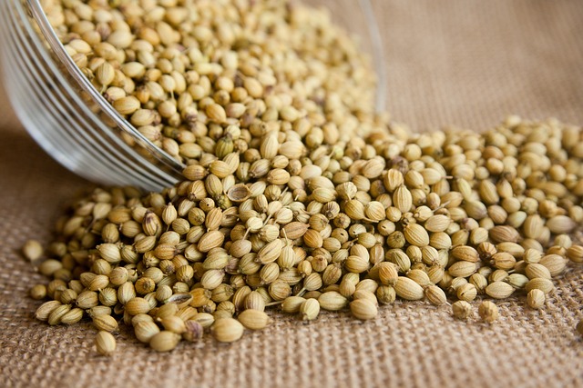 coriander