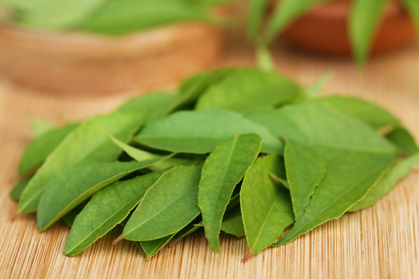 curry leaves