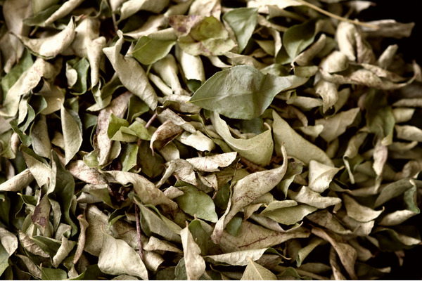 dried curry leaves