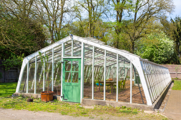 dutch greenhouse