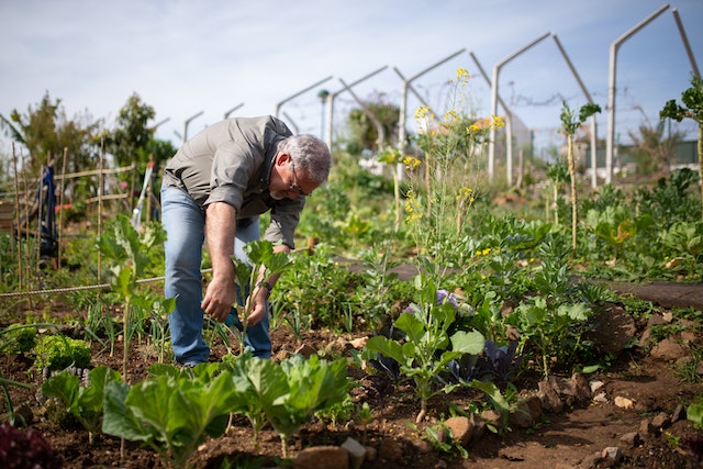 gardening