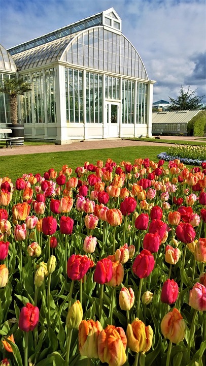 gothic house greenhouse