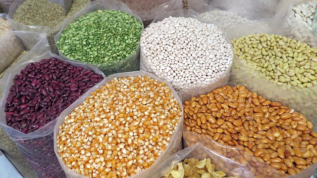 grain seeds