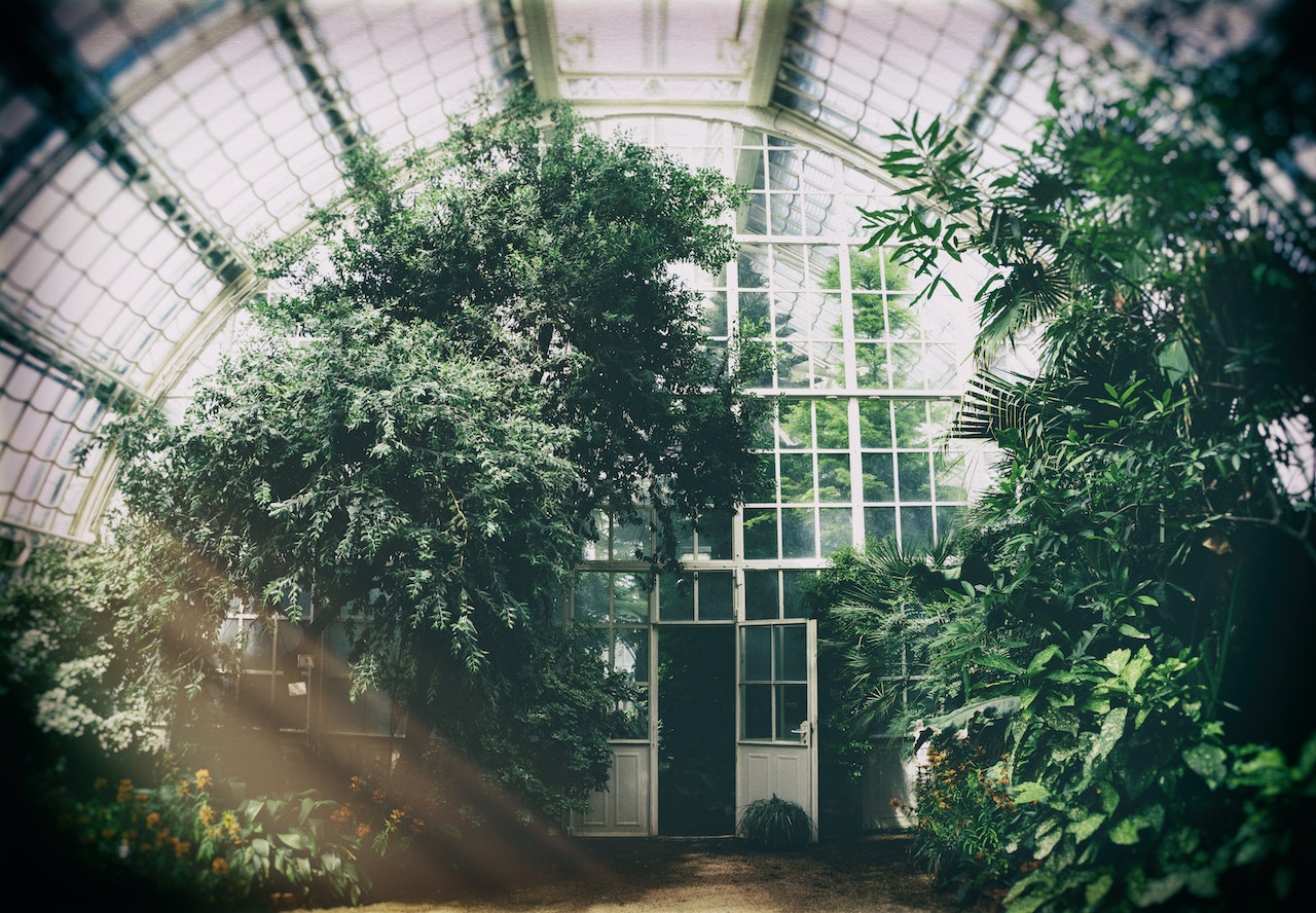 greenhouse