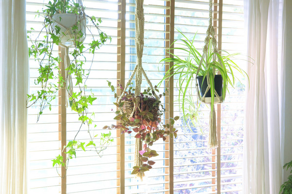 hanging planters