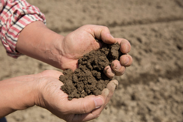 maintaining soil