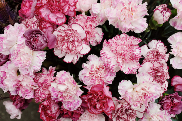 peonies