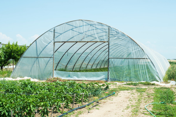 quonset greenhouse