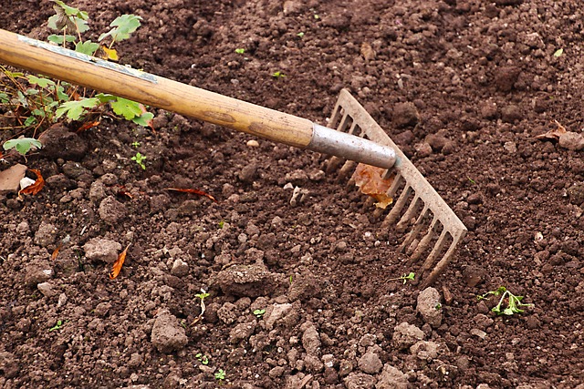 rake and soil