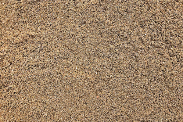 sandy soil