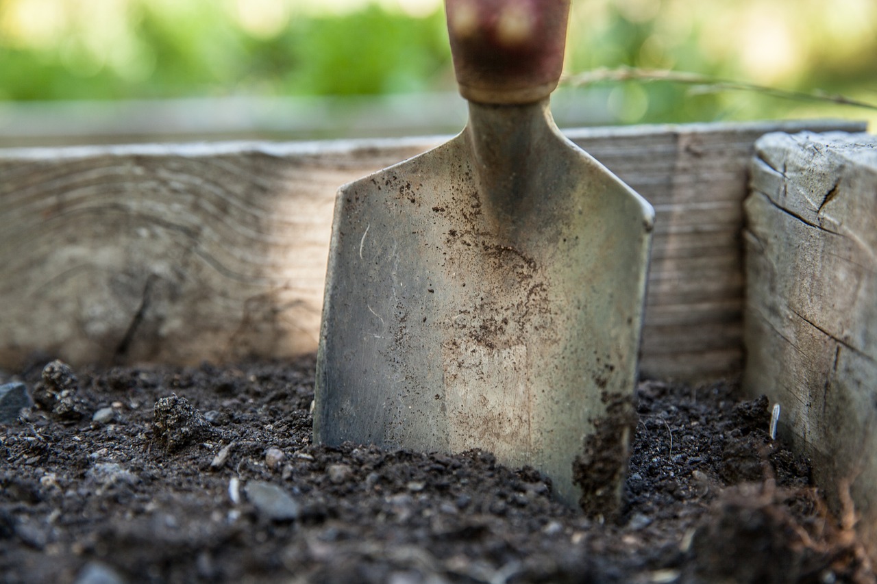 types of soil guide