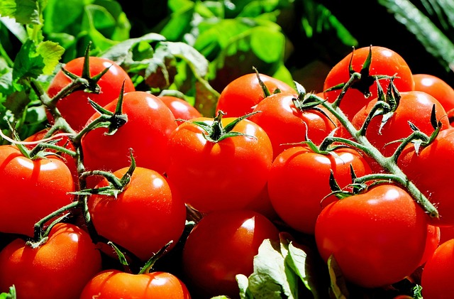 types of tomatoes