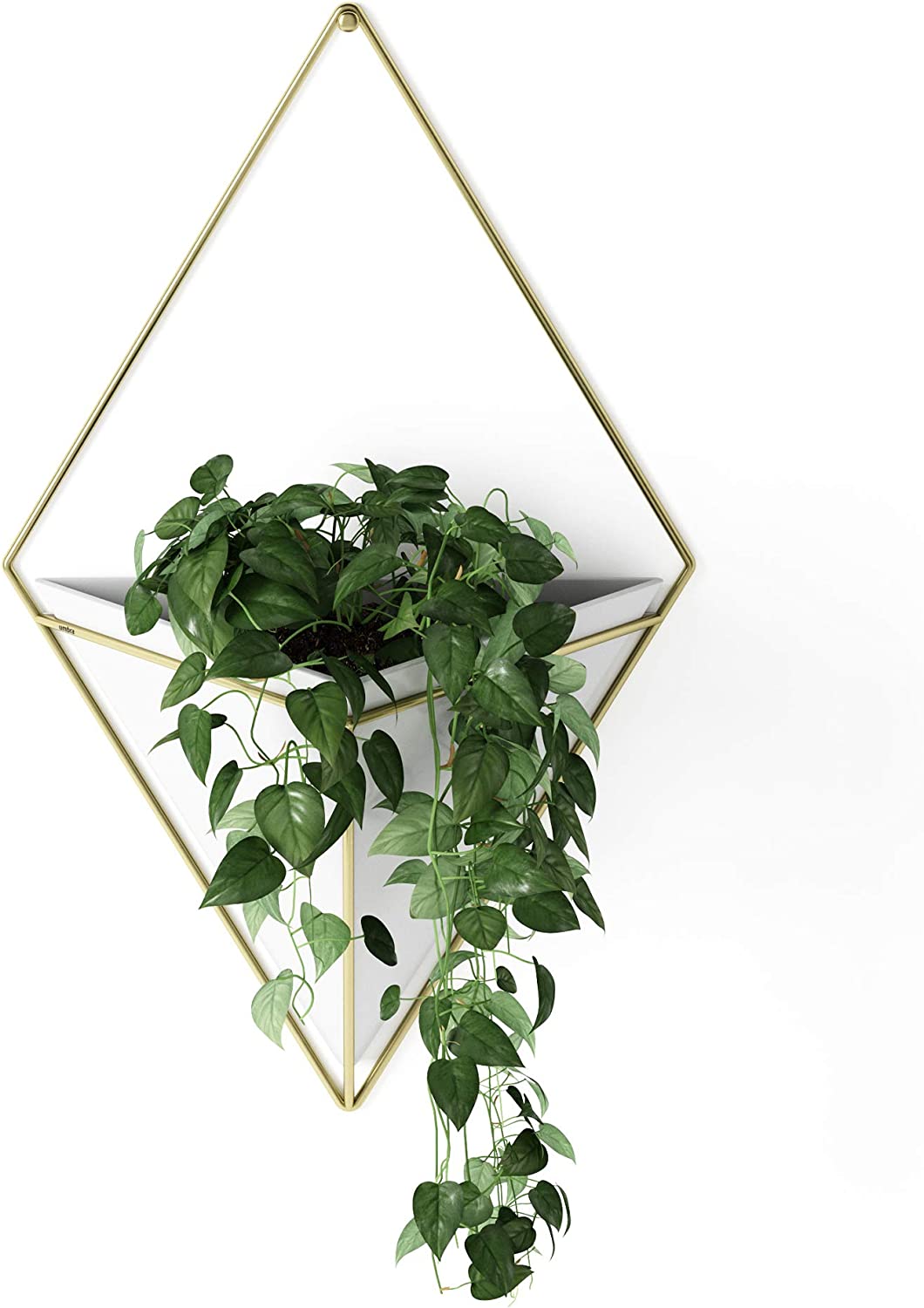 umbra trigg hanging planter