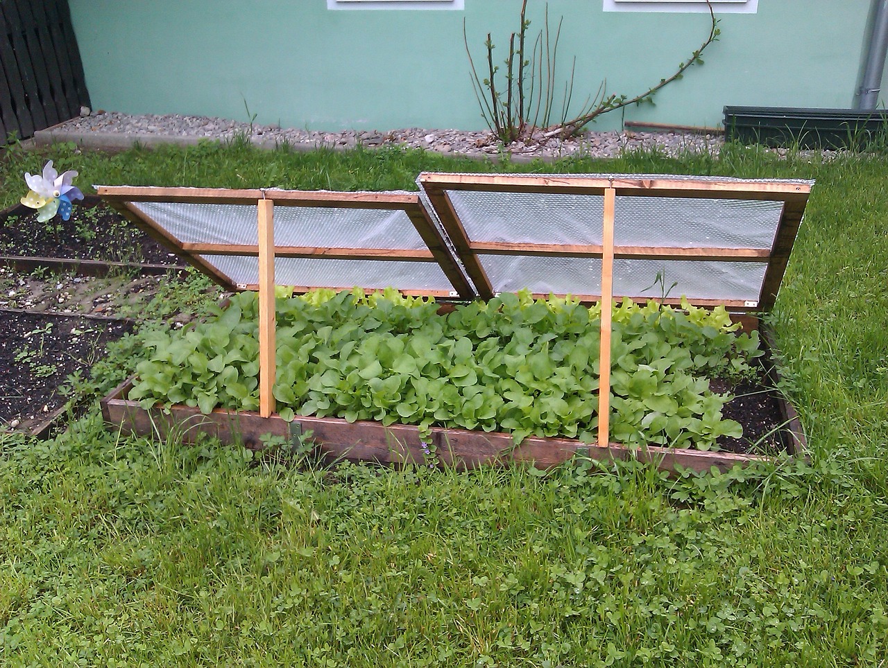 a cold frame