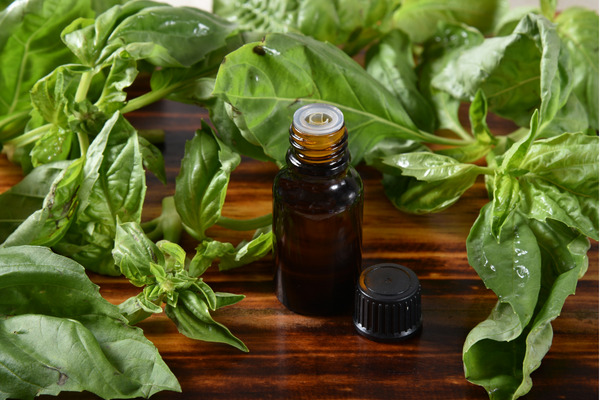 basil flower oil