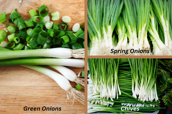 chives vs spring onions vs green onions