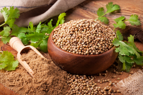 coriander and cilantro