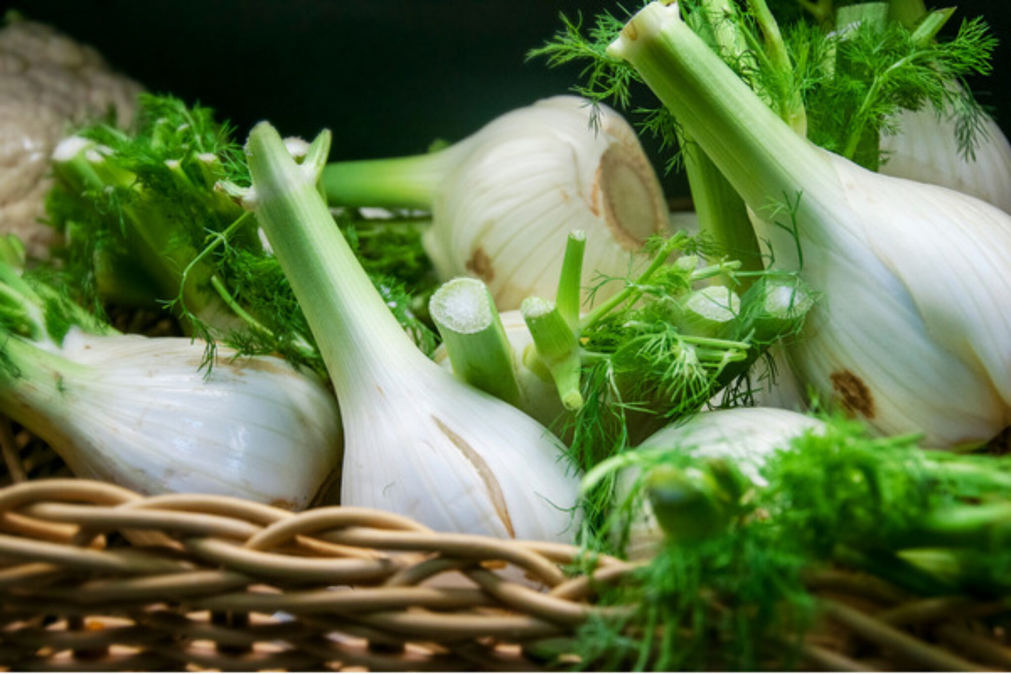 How to Grow and Care for Fennel - Your Ultimate Guide! - TopBackyards