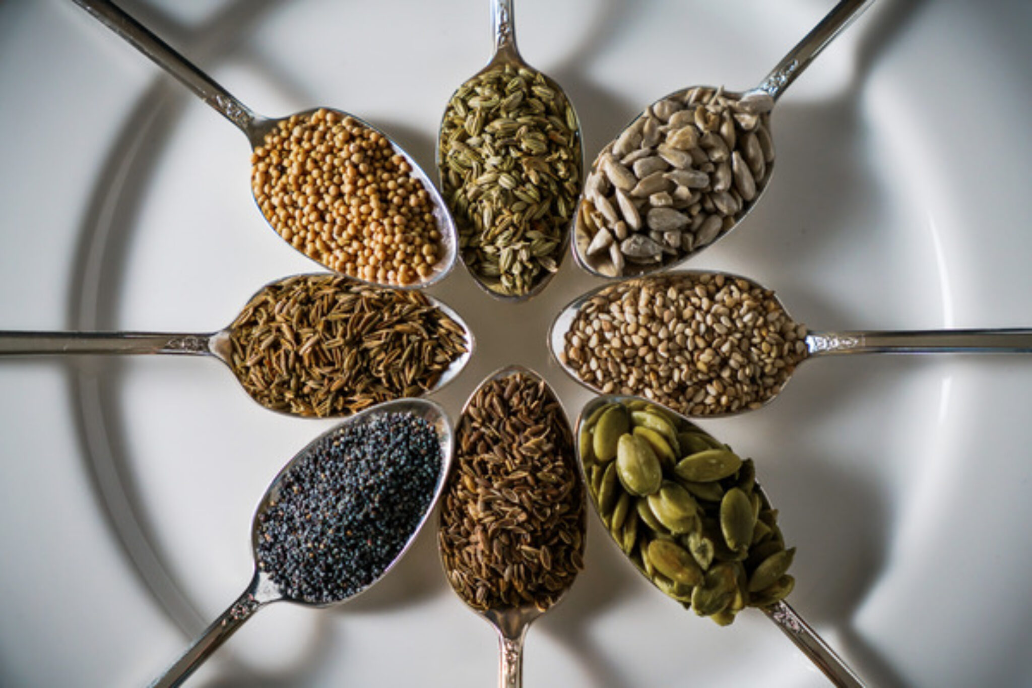 Nuts vs. Seeds vs. Legumes A Guide TopBackyards