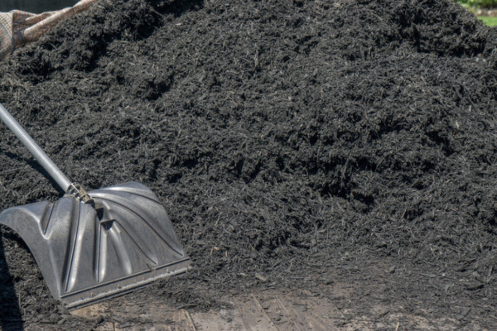 What is Black Mulch? TopBackyards