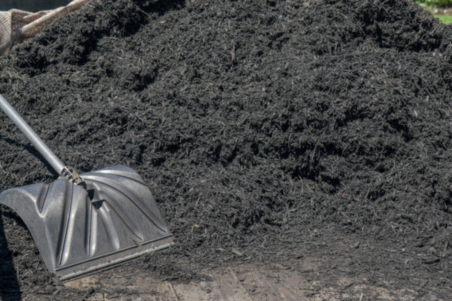 What is Black Mulch? TopBackyards
