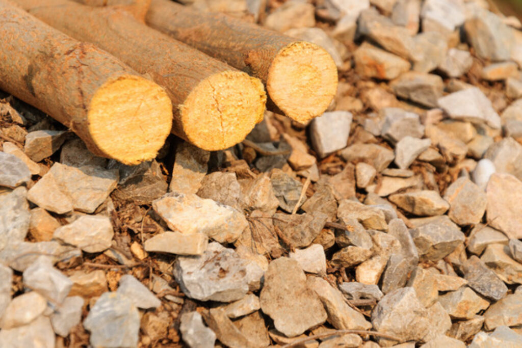 What is Black Mulch? TopBackyards