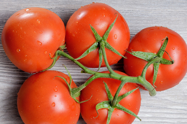 ailsa craig tomato variety