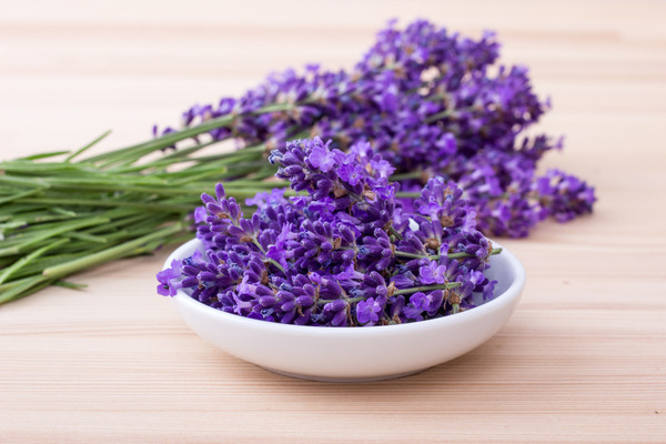 lavender flowers