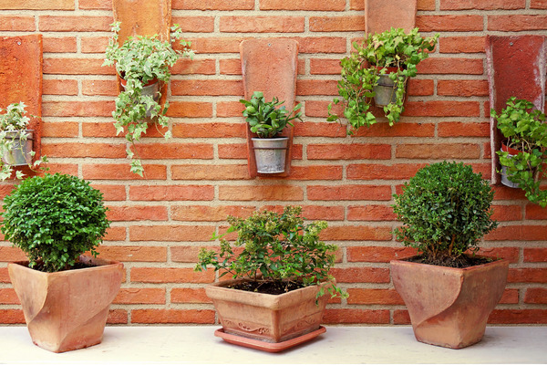 a vertical garden on a brick wall