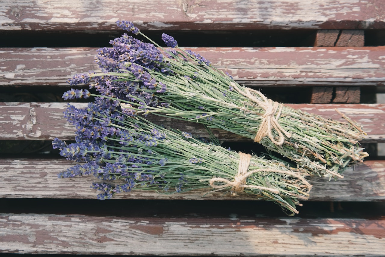 lavender bunches