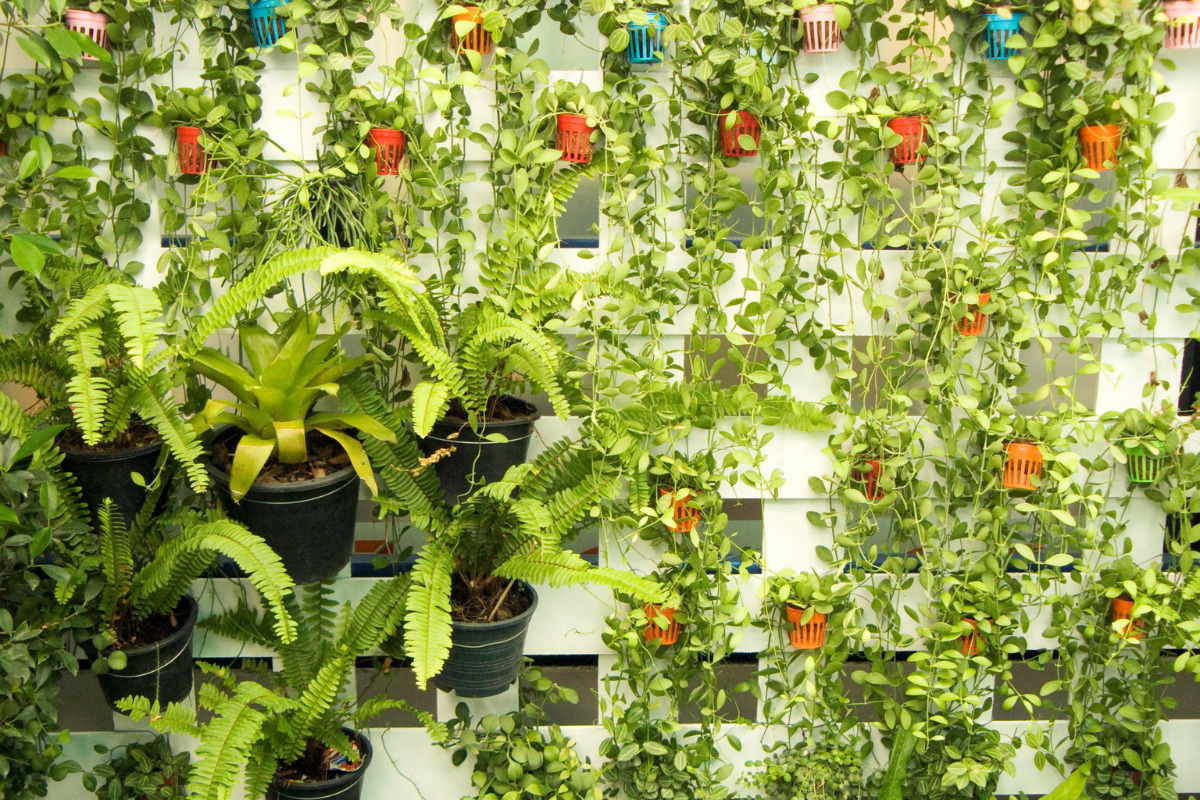 best plants for indoor vertical gardens