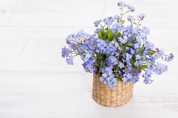 bouquet of forget me nots