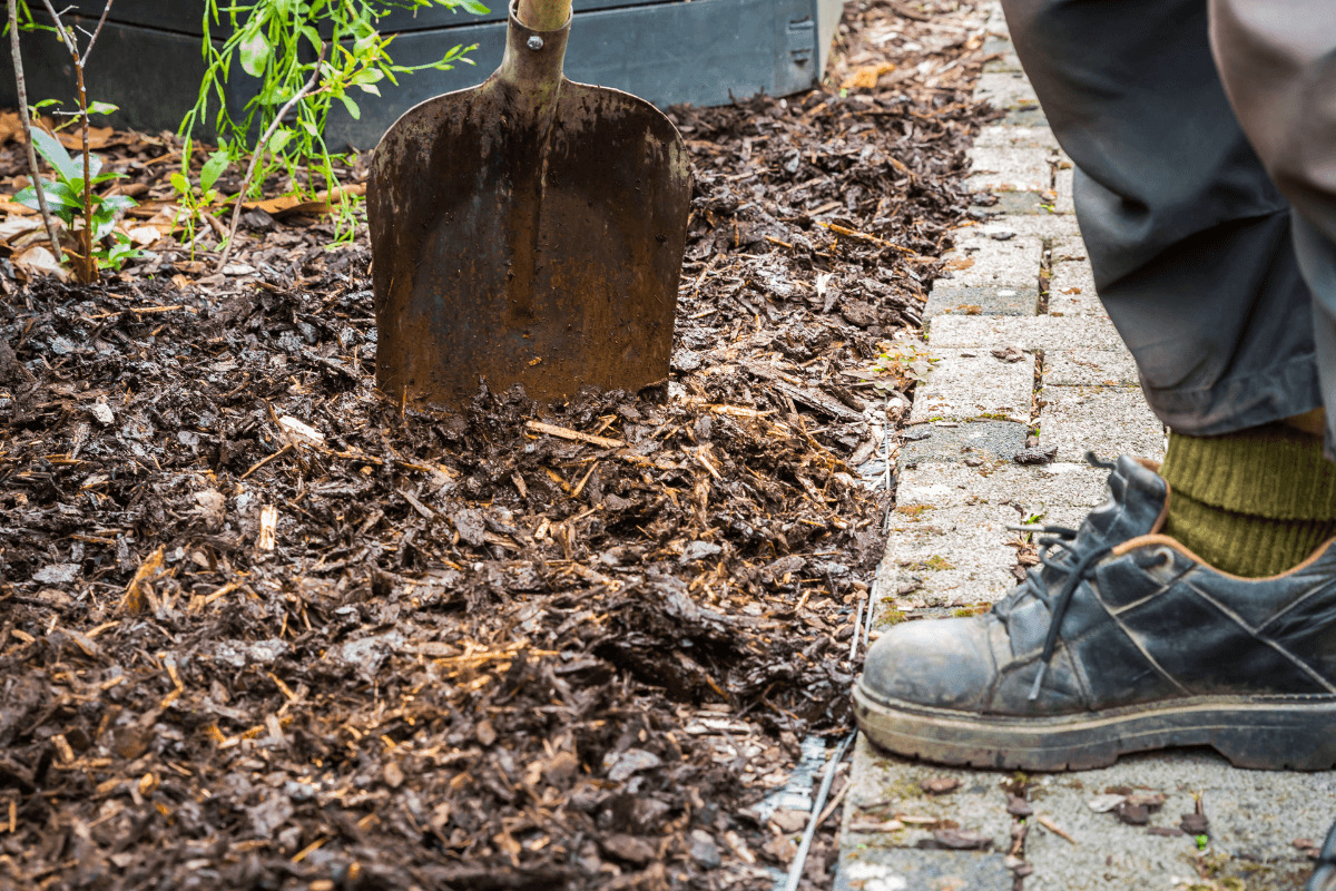 brown mulch in the garden