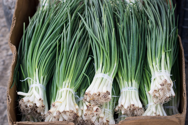 chives