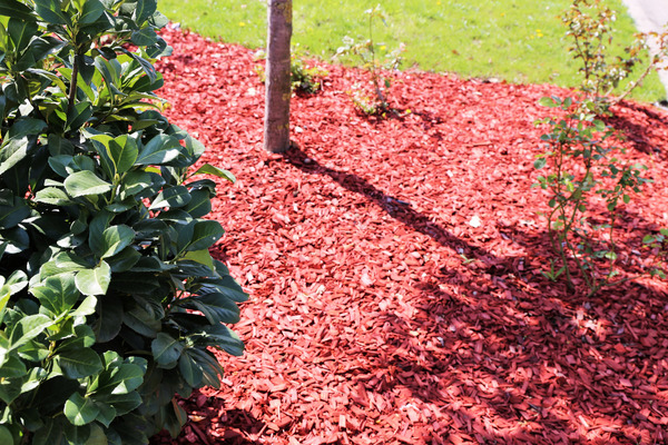 colored red mulch