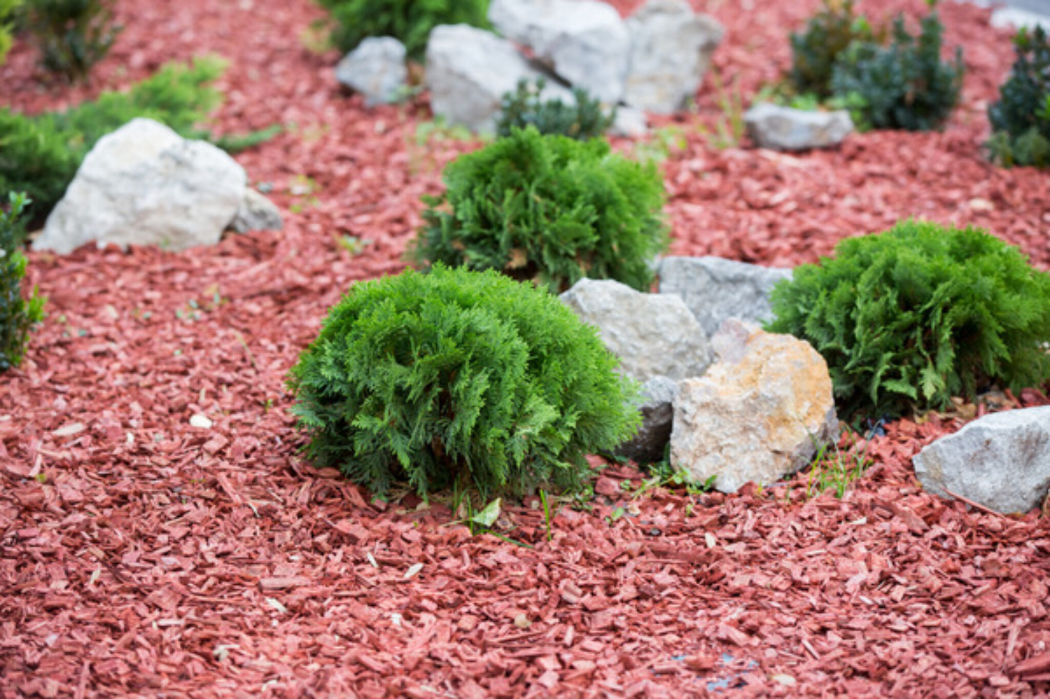 What is Red Mulch? A Brief Guide to Mulching TopBackyards