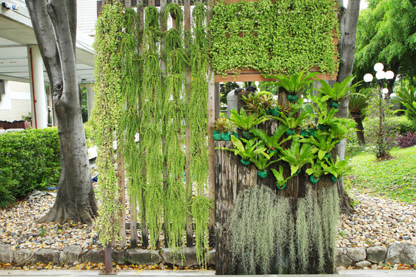 green vertical garden